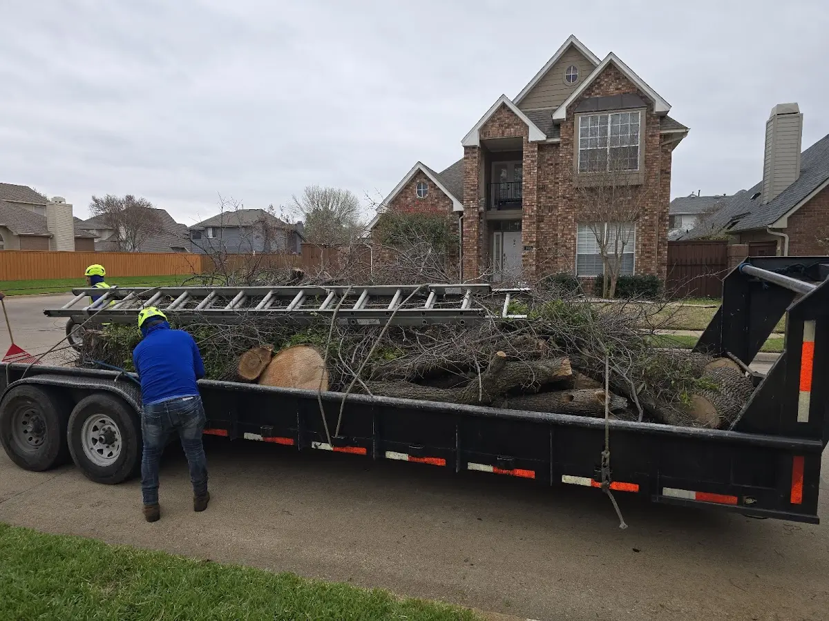 Expert Lot Clearing with proper safety equipment in Butner
